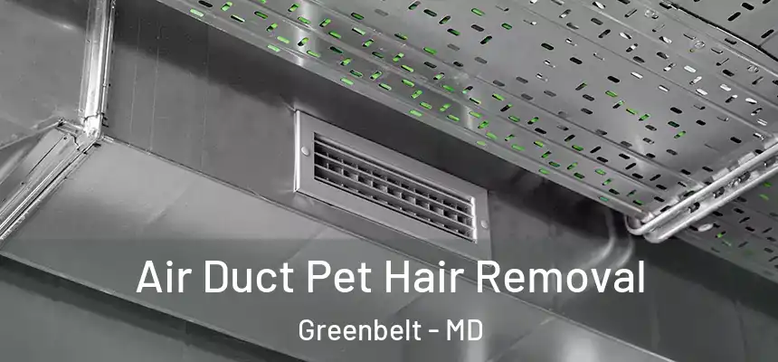  Air Duct Pet Hair Removal Greenbelt - MD