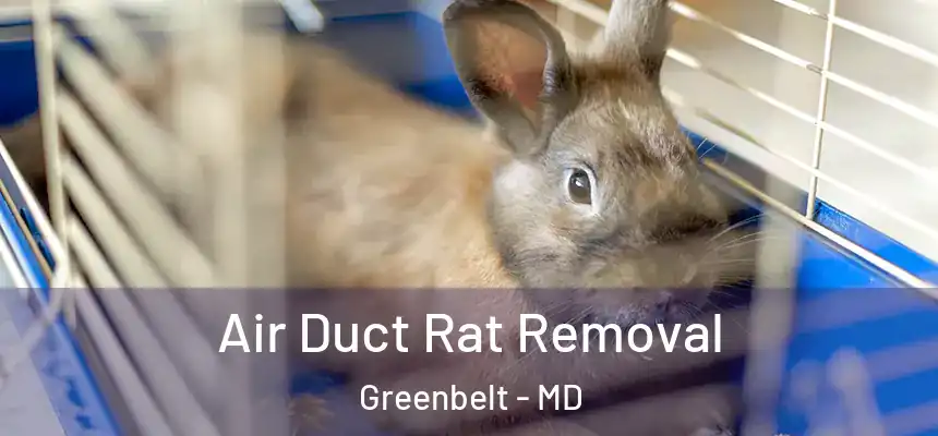  Air Duct Rat Removal Greenbelt - MD