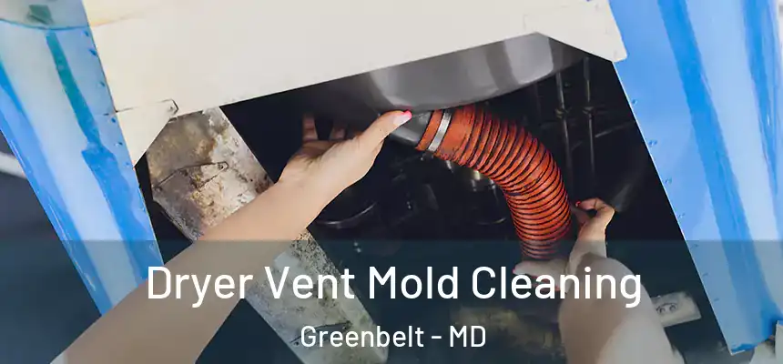 Dryer Vent Mold Cleaning Greenbelt - MD