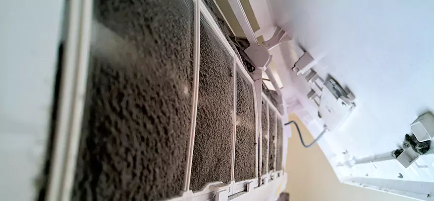 Preventive Air Duct Bacteria Removal in Greenbelt