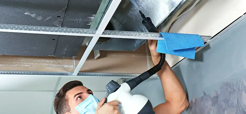 Our Air Duct Rodent Removal Services in Greenbelt, MD