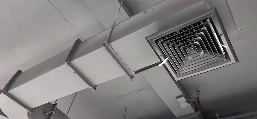 Restorative Allergy Relief Vent Cleaning – Coil, Blower & Housing Detail in Greenbelt