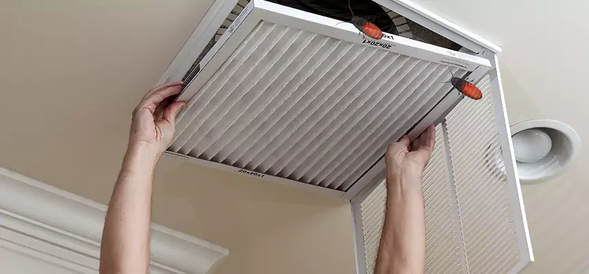 Our Insect Removal from Air Ducts Services in Greenbelt, MD