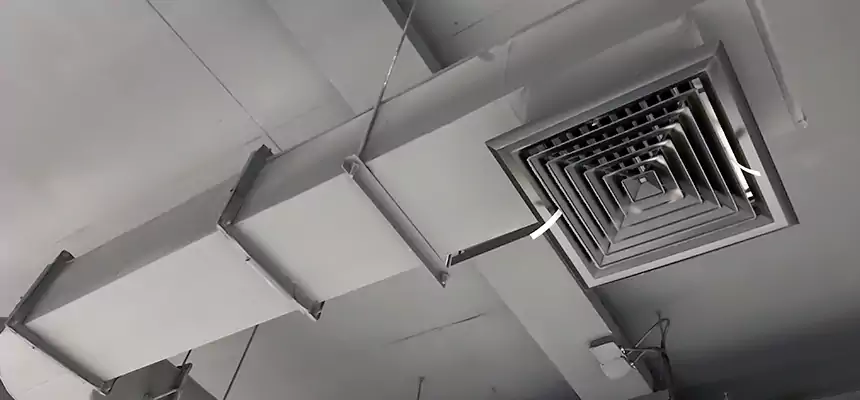 Our Pest Removal From Ducts Services in Greenbelt, MD