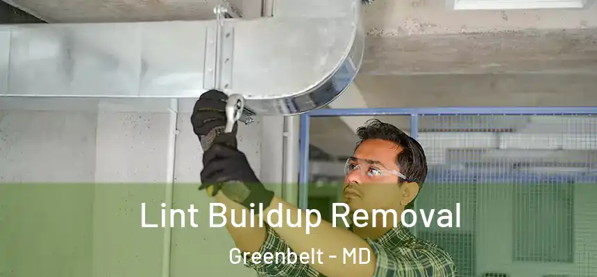  Lint Buildup Removal Greenbelt - MD