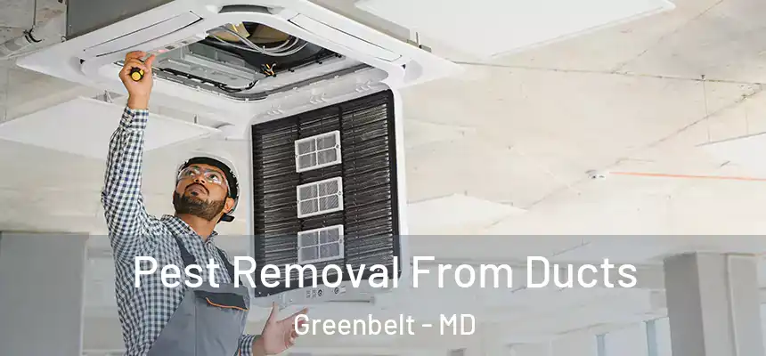 Pest Removal From Ducts Greenbelt - MD