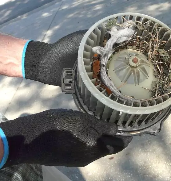 About Air Duct Mice Removal in Greenbelt, MD