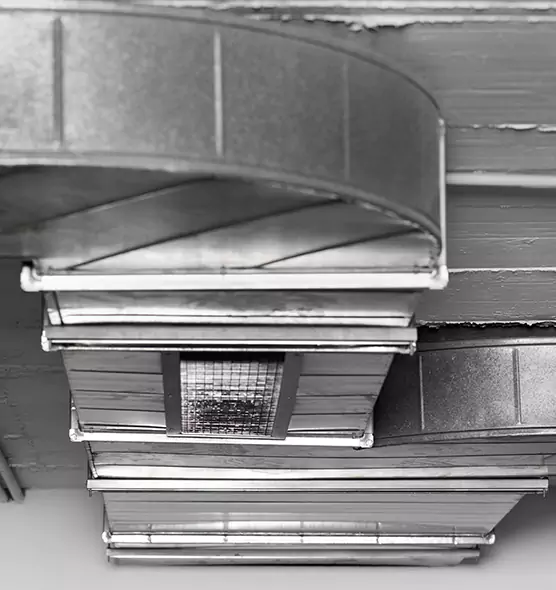 Professional Air Duct Pet Hair Removal in Greenbelt, MD