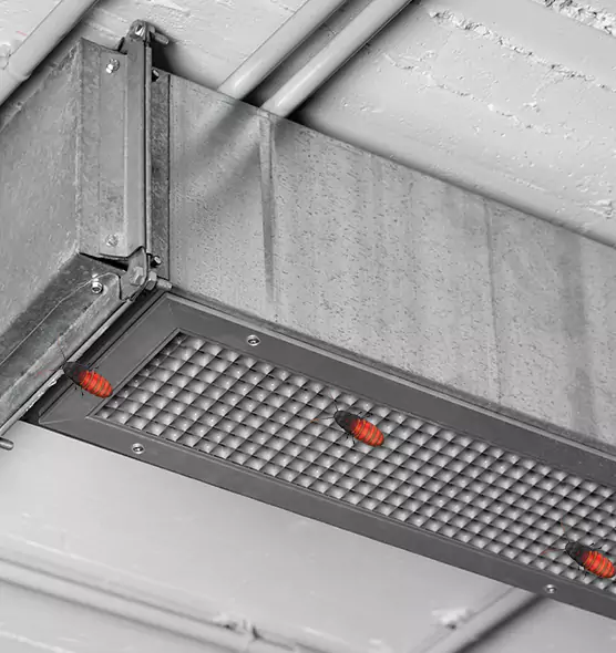 Affordable Insect Removal from Air Ducts in Greenbelt, MD