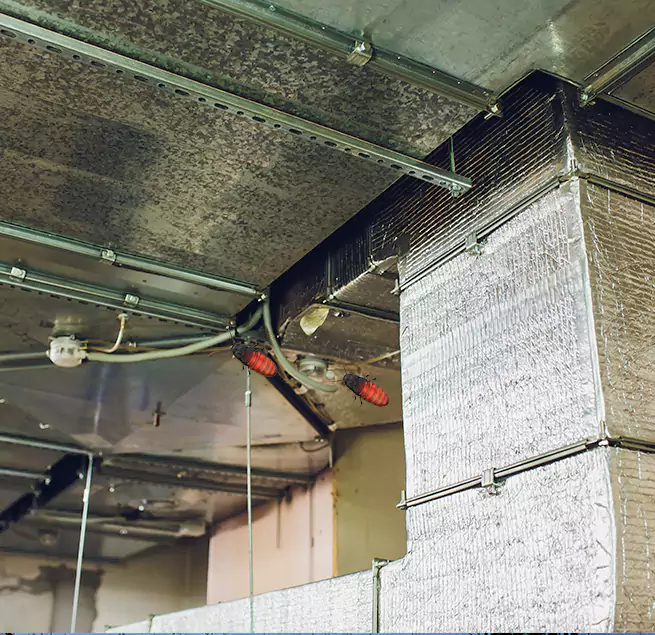 Why Homeowners & Businesses Trust Us in Greenbelt, MD?