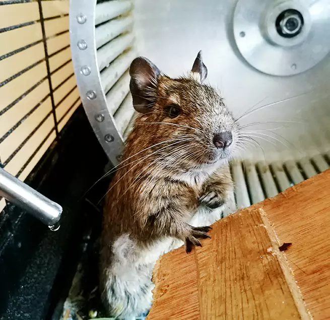 Why Homeowners & Businesses Trust Us Greenbelt, MD?