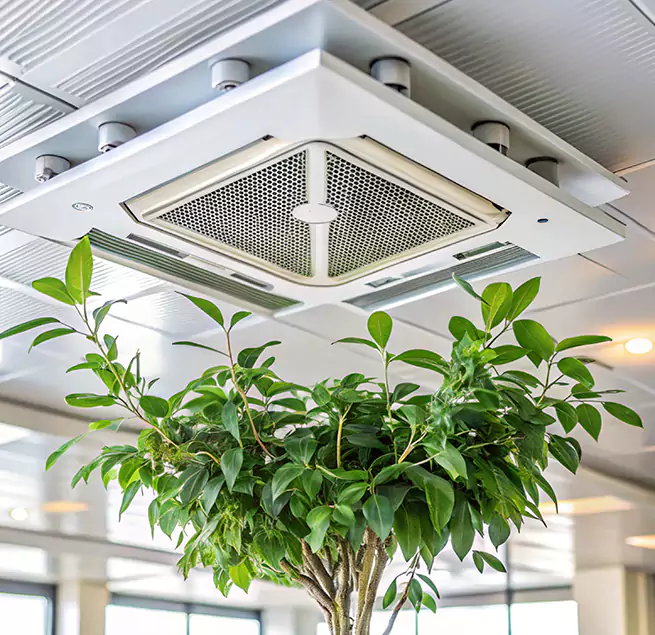 Why Homeowners & Businesses Trust Us in Greenbelt, MD